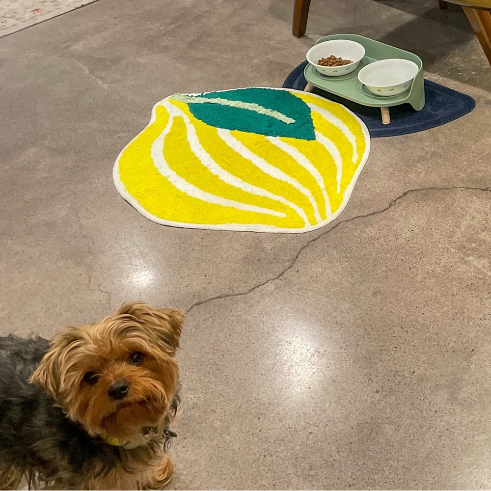 Room Essentials Yellow and Teal Lemon Bath Mat